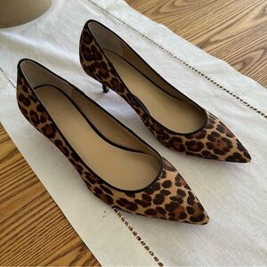 Ann Taylor Sz 7 Leopard Print Women's Pumps